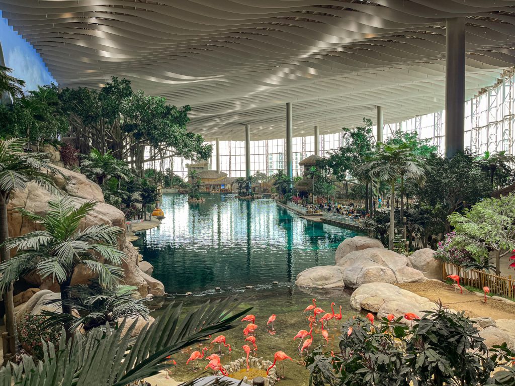 An indoor tropical paradise with a large pool, palm trees, lush greenery, rocks, and several pink flamingos in the foreground under a wavy, SeaWorld Abu Dhabi Parametric Facades-inspired ceiling and natural light streaming through tall windows.